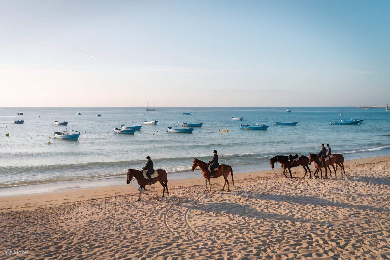 Тур в Эс-Сувейру