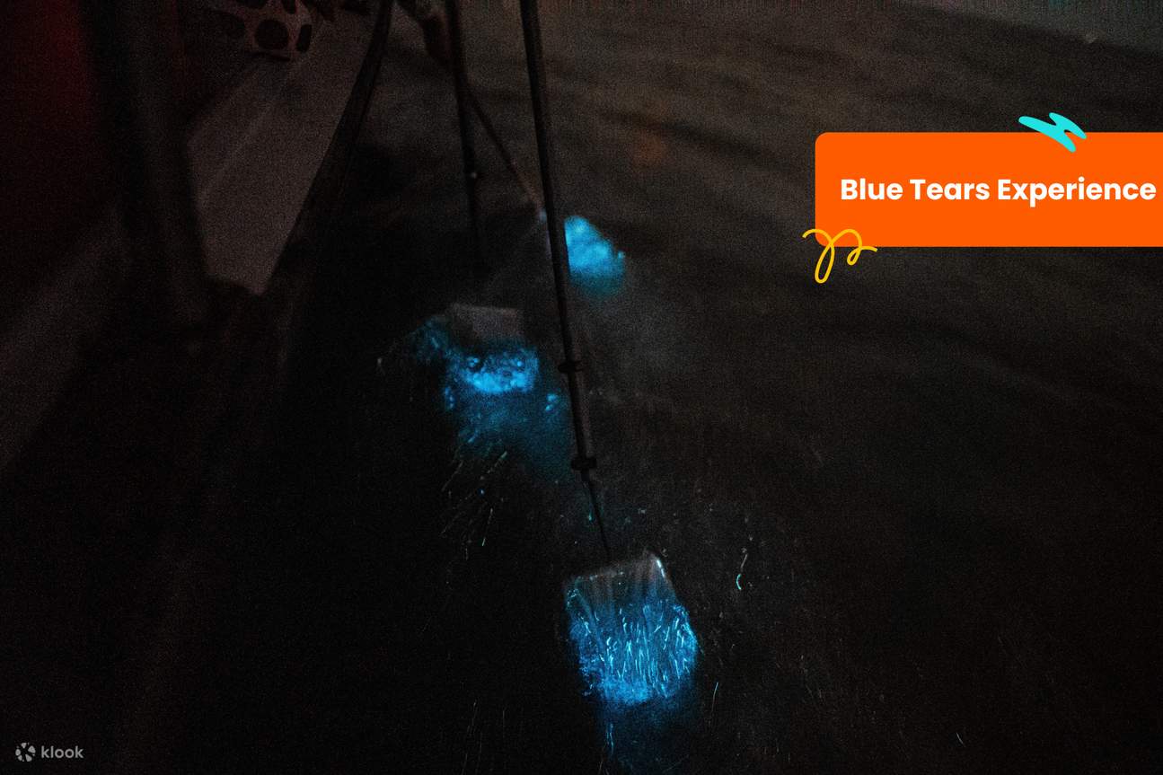 Pengalaman melihat Blue Tears