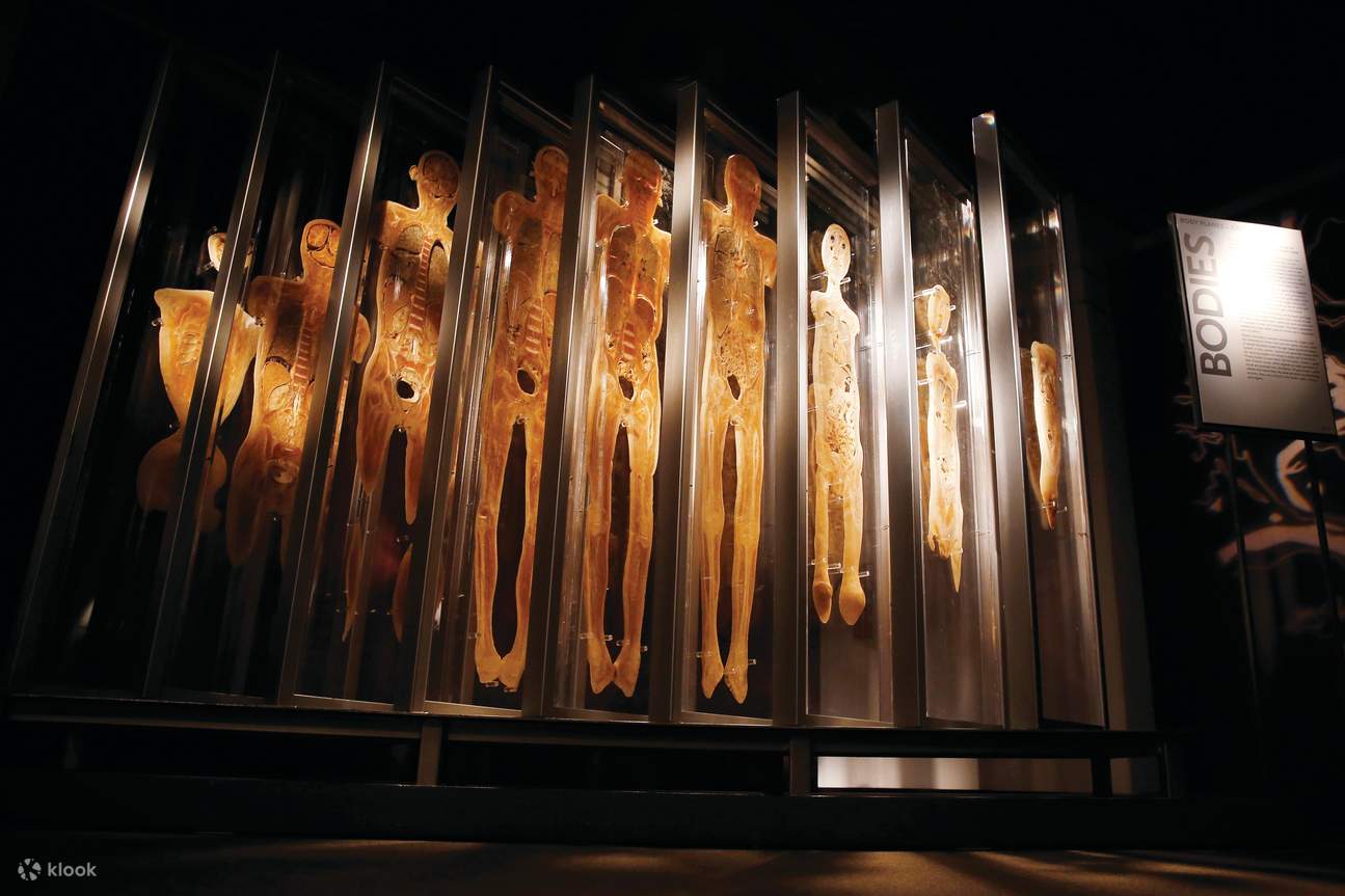 โลกแห่งวิทยาศาสตร์