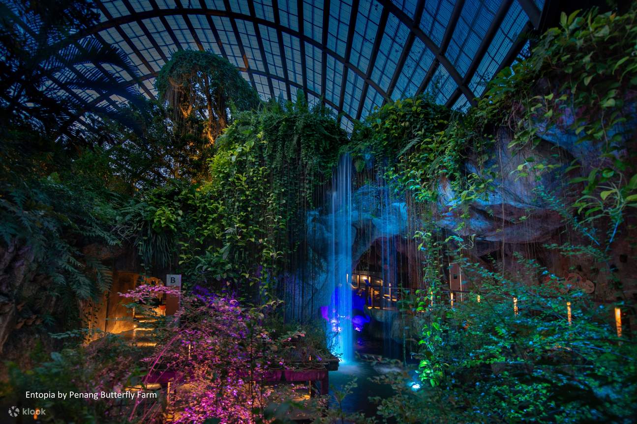Billet pour Entopia by Penang Butterfly Farm