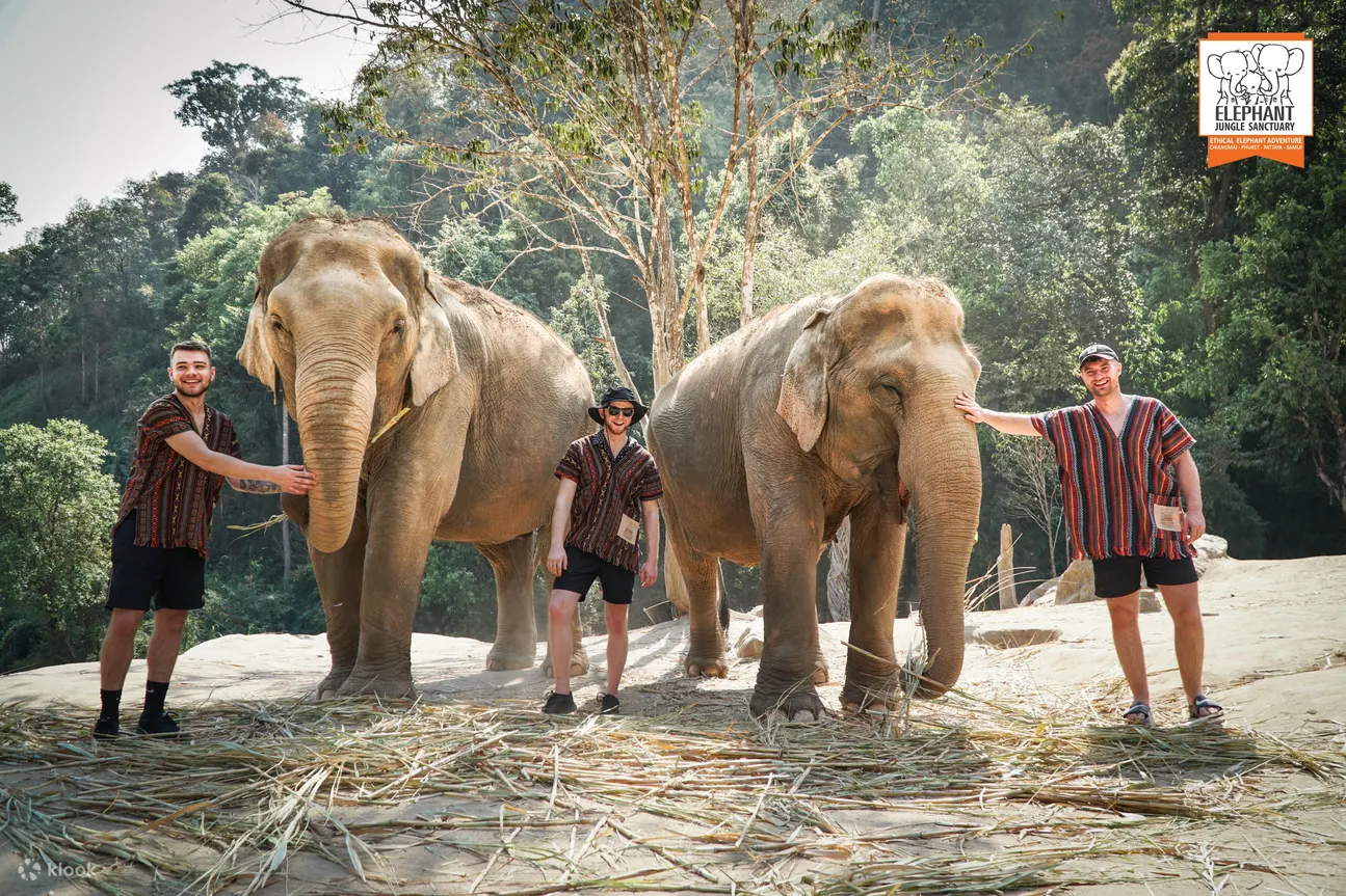 Post and act with elephant