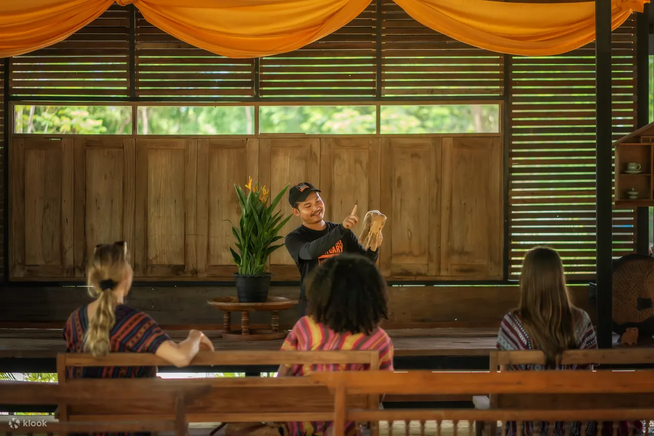 Elephant Jungle Sanctuary Chiang Mai Experience
