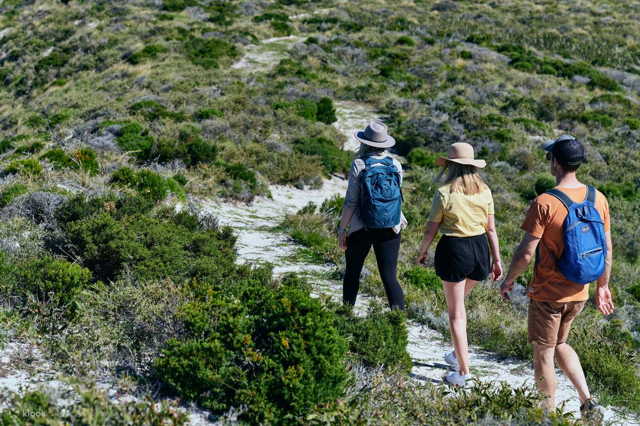 lakes-and-bays-guided-hiking-di-pulau-rottnest-klook-indonesia