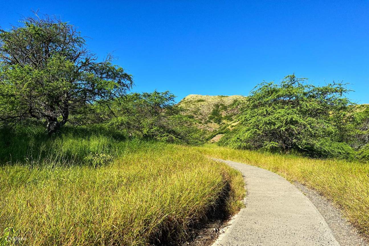Diamond Head Crater Hiking, Oahu Island, and North Shore Tour Klook