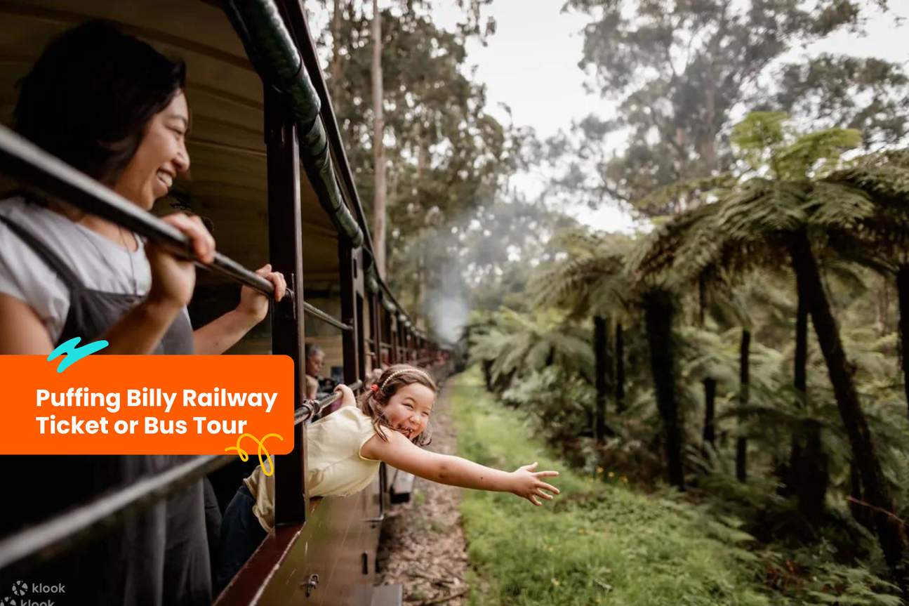 Billet de train ou visite en bus Puffing Billy