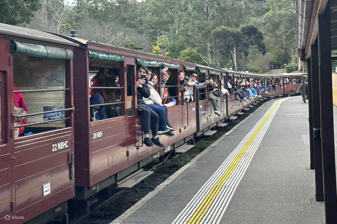 Puffing Billy and Phillip Island Wildlife Day Tour from Melbourne - Klook
