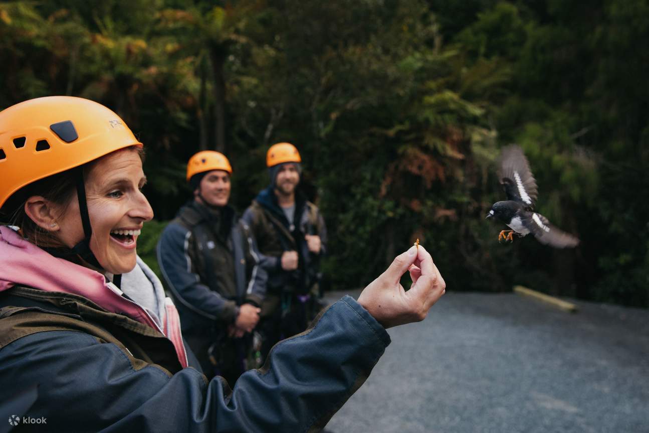 The chance to feed native, wild birds with Rotorua Canopy Tours