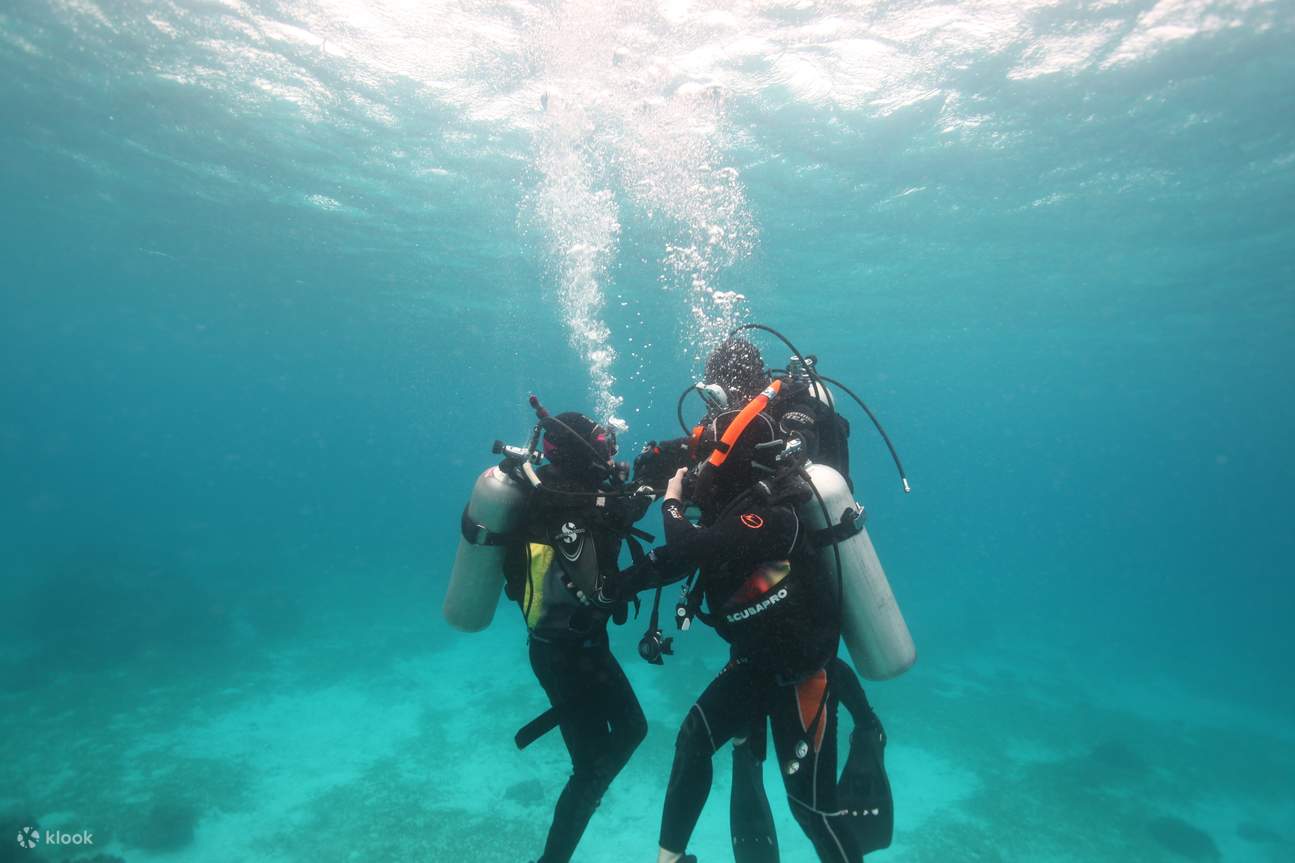 Experiencia de buceo en Jeju