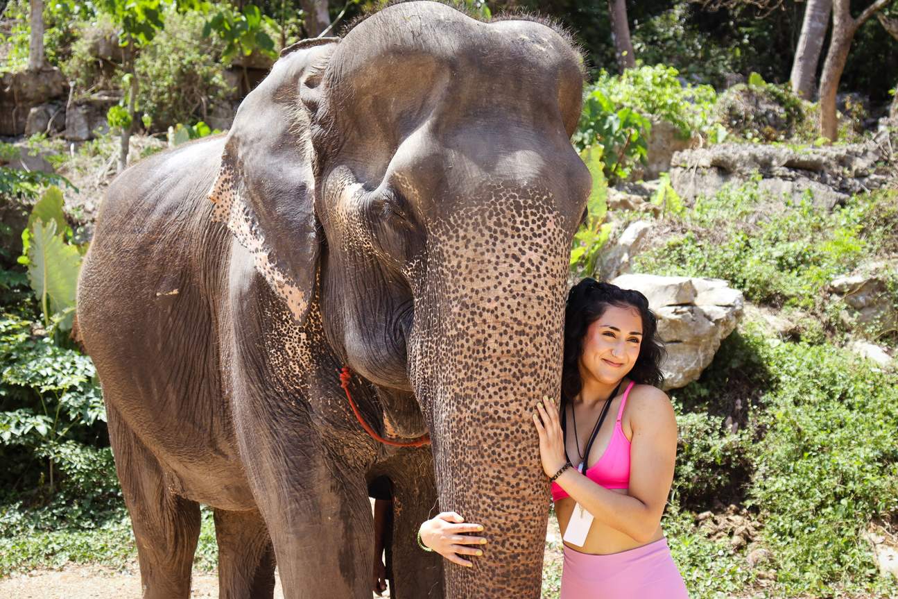 Pengalaman Aonang Elephant Sanctuary