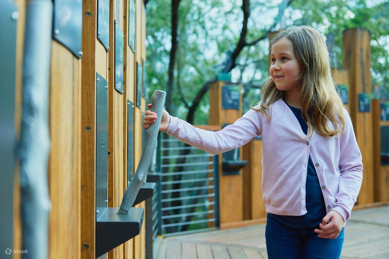 吉尔吉洞穴探索之旅