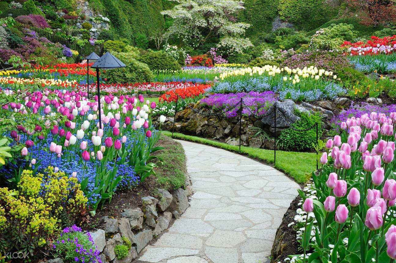 Victoria And Butchart Gardens Tour Dari Vancouver