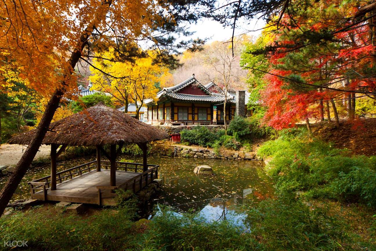 Korean Folk Village Admission Ticket
