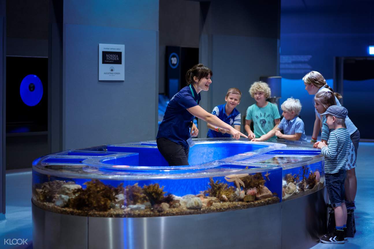 National Aquarium Of Denmark Den Bl Planet Admission Ticket Klook US national-aquarium-of-denmark-den-bl-planet-admission-ticket-klook-us