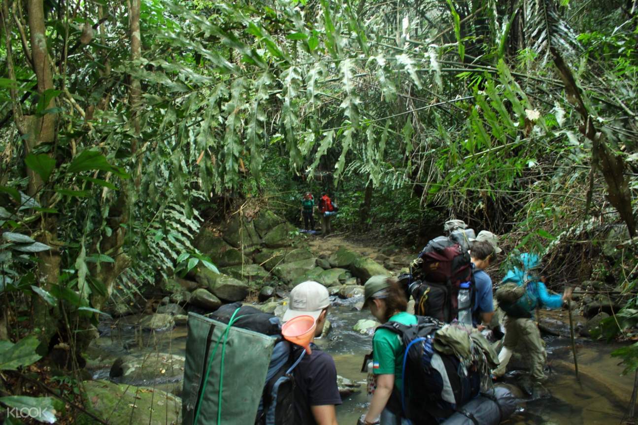 Hiking Adventure in Kiulu Valley - Klook United States