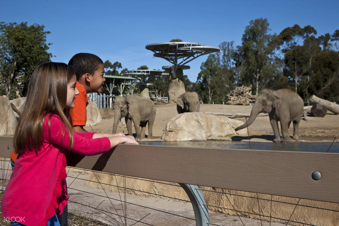San Diego Zoo Ticket Klook Us