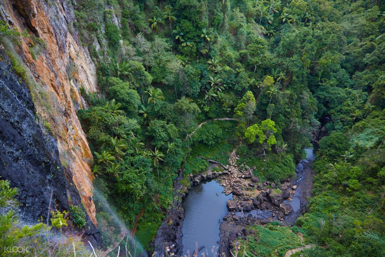 스프링브룩 프라이빗 차량투어 (골드코스트 출발) - 클룩 KLOOK 한국
