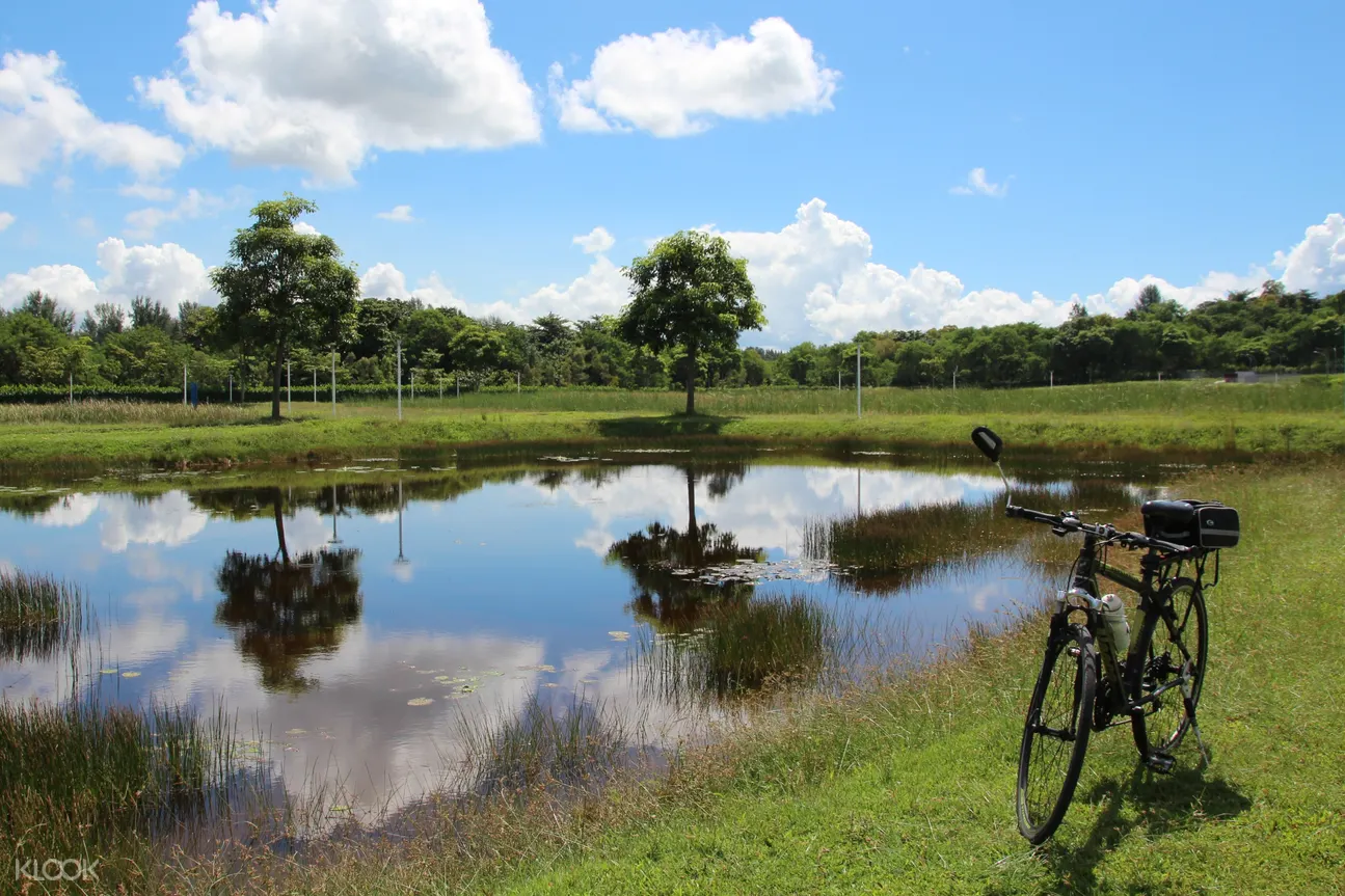 自転車 自然ツアー（コニーアイランド+パシールリスパーク+ 