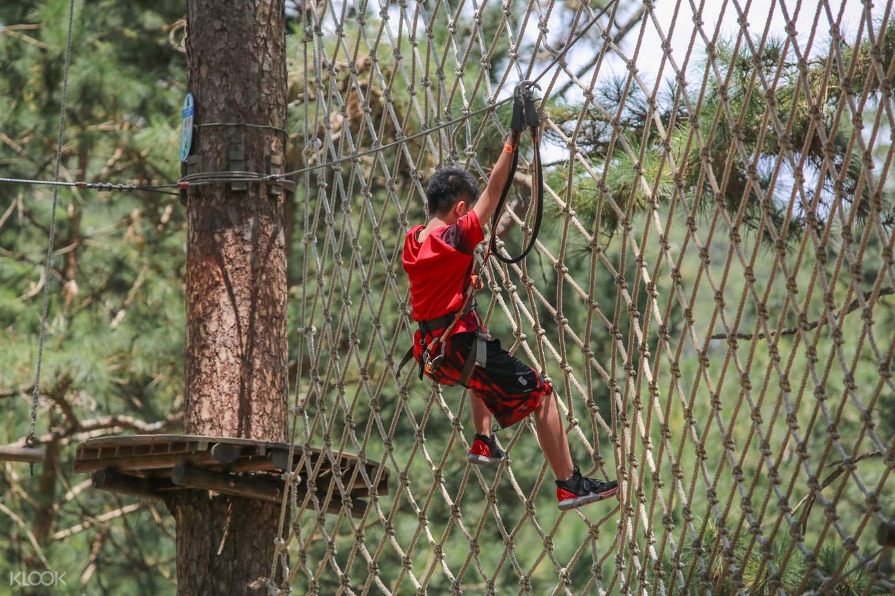 High Rope Course Adventure in Da Lat