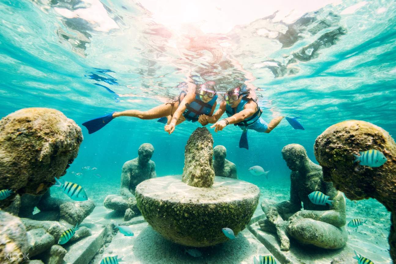 Snorkeling Excursions In Cancun At Robert Bible Blog
