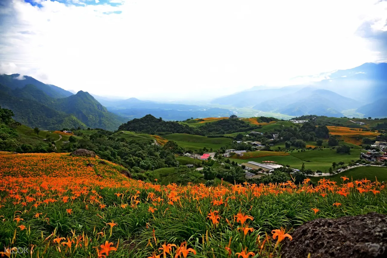 台灣郊野