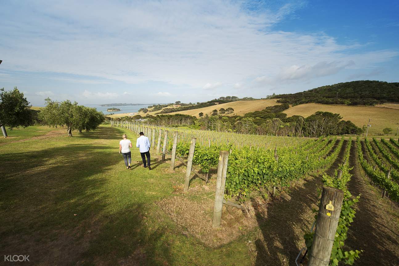Auckland Highlights with Wine Tasting at Waiheke Island Combination