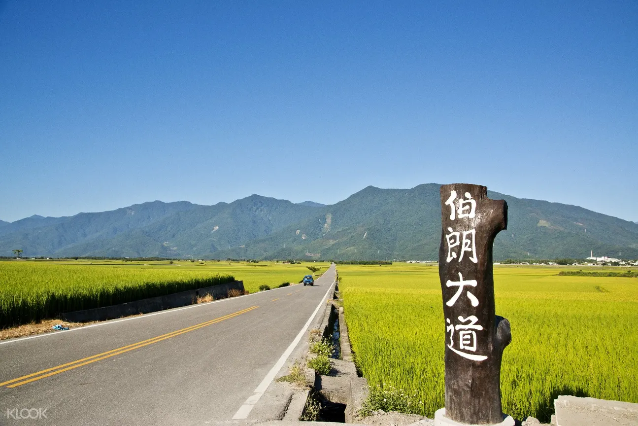 伯朗大道,鹿野高台,大坡池,台東一日遊,便當博物館