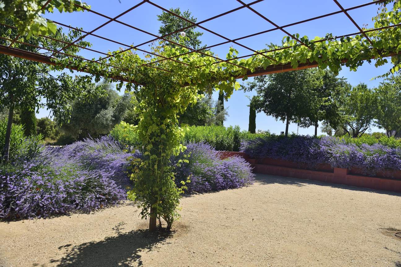 从马德里出发的西班牙传统村庄和酒庄之旅