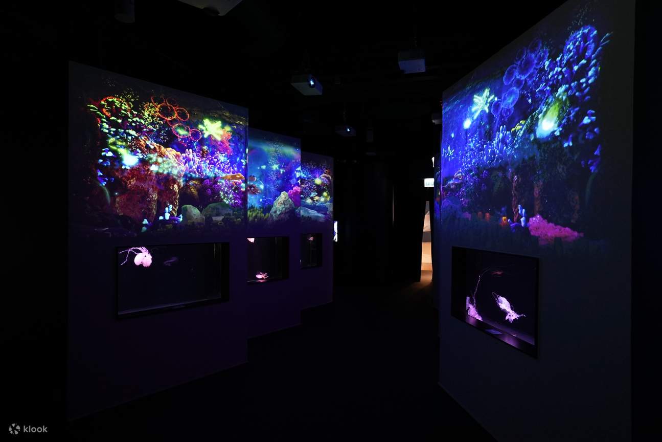 Hong Kong Cube O Discovery Park