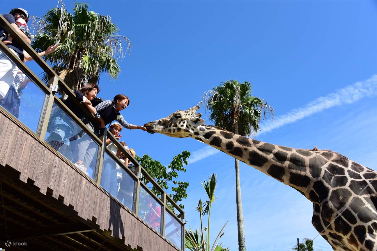 Wakayama Adventure World
