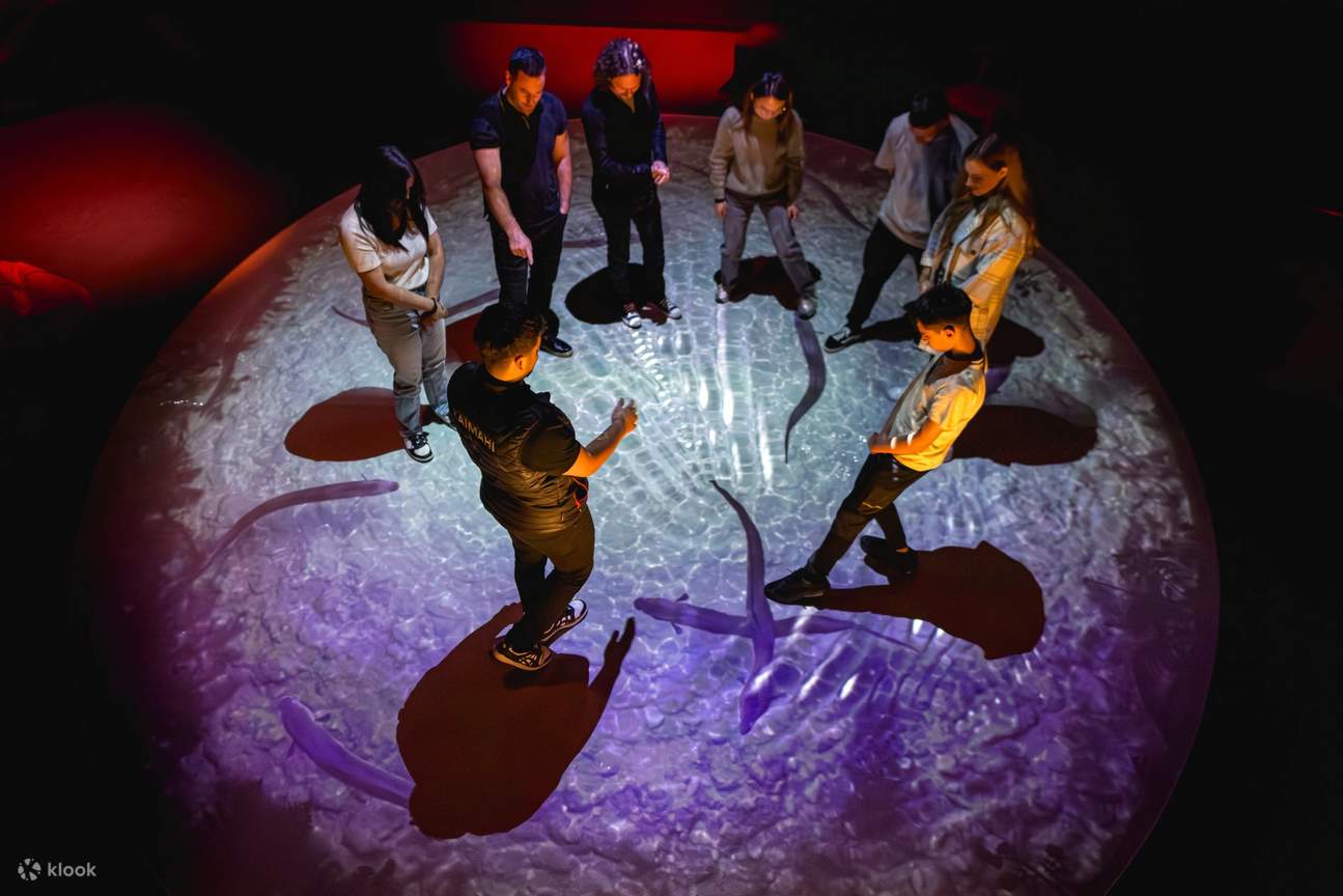 Dark Sky Experience di Dark Sky Project a Tekapo