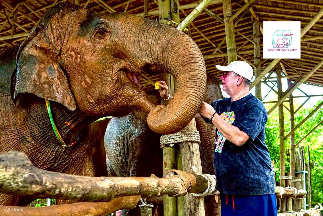Trải nghiệm với voi và bãi biển tại Phuket Siray Elephant Care Camp