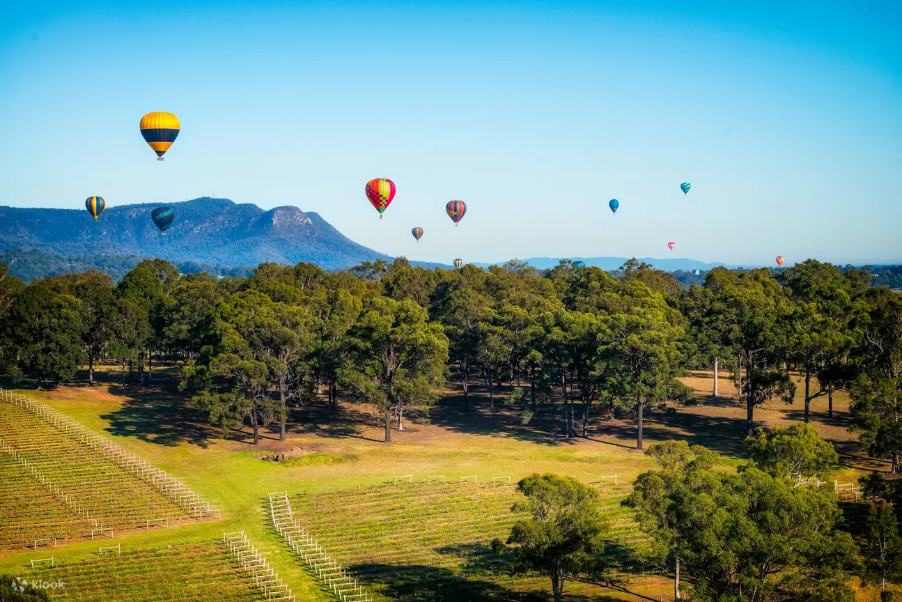 hot air balloon hunter valley