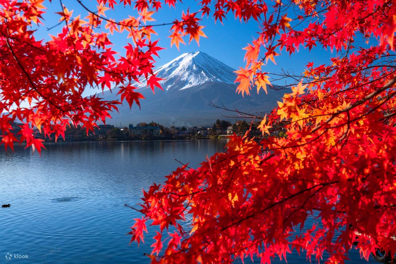 东京市内包车前往富士山/箱根/镰仓地区