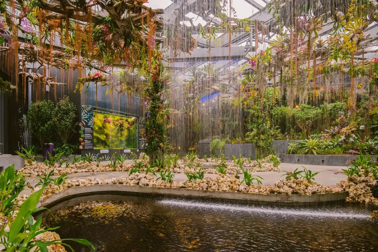 奇幻花园雨中绿洲