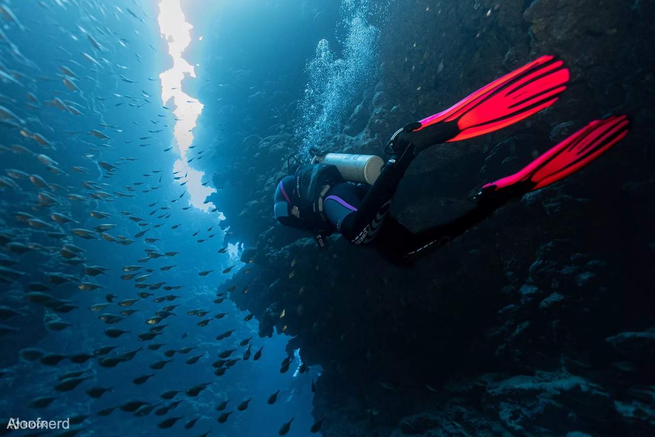 Trải Nghiệm Lặn Nước Mở ở Dahab của Resort PADI 5 Sao