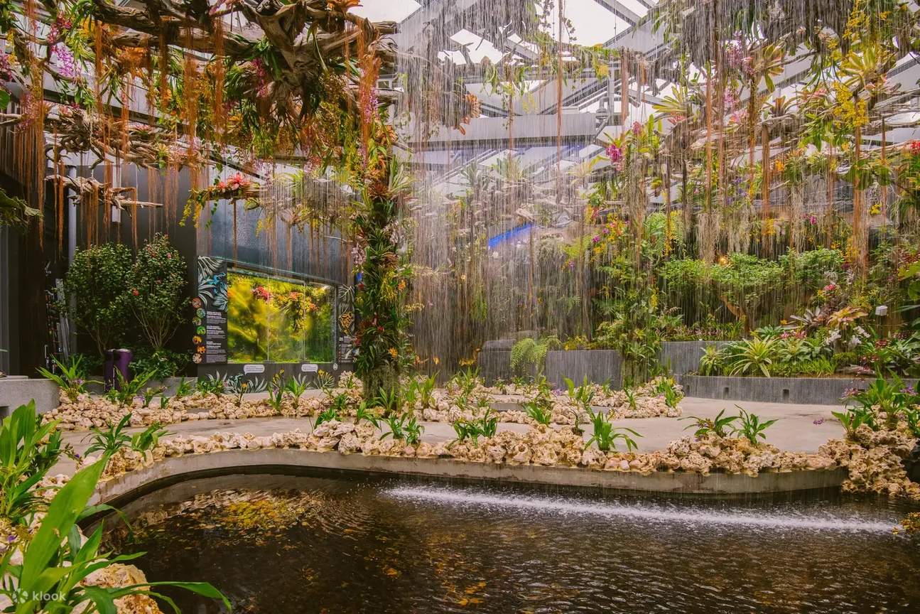 Oasis de pluie de Floral Fantasy