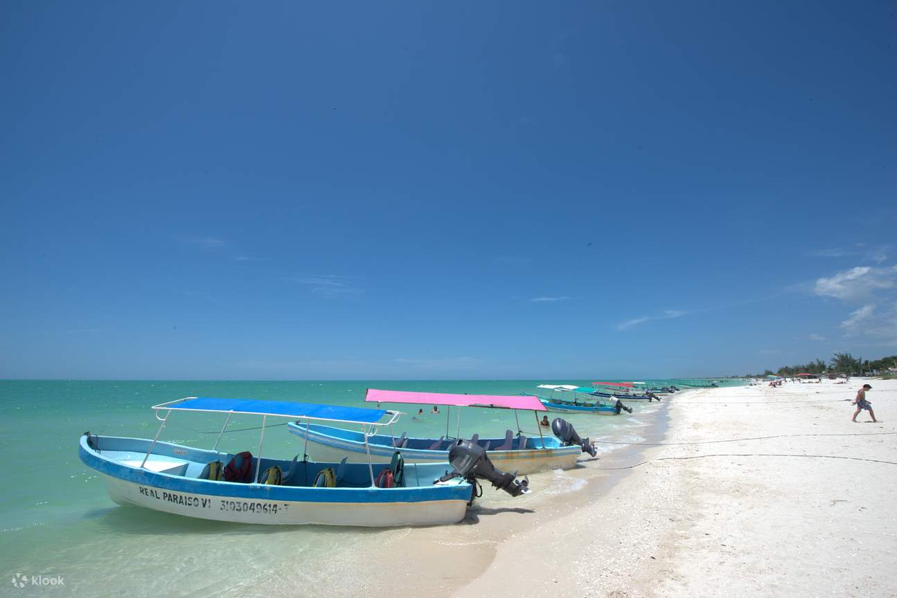 ล่องเรือชมความงามของธรรมชาติในปากแม่น้ำ Celestún พร้อมชมทัศนียภาพอันน่าทึ่งของสัตว์ป่าหลากสีสัน