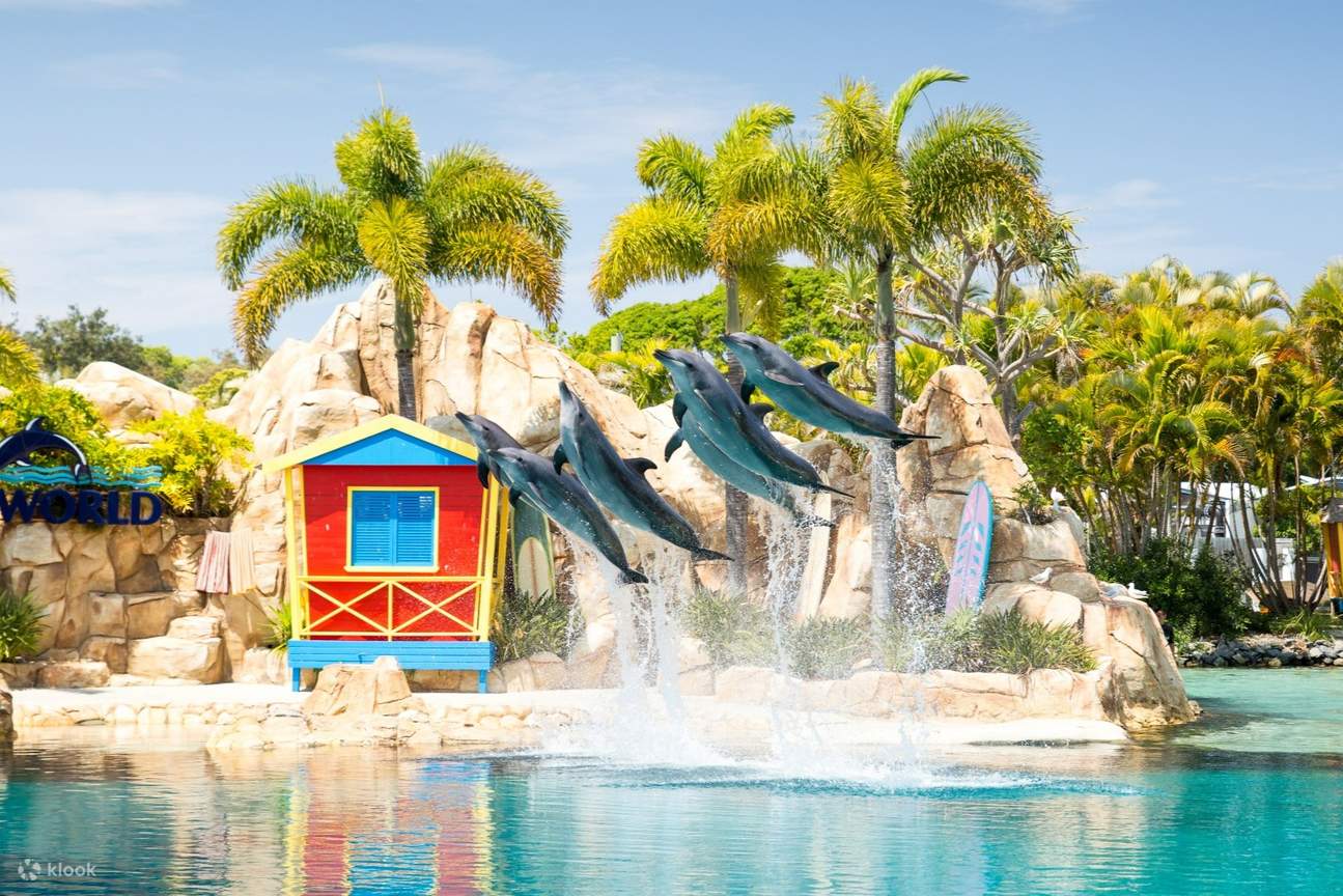 Spot playful dolphins and other marine life as you explore the beautiful Gold Coast waterways with HOPO