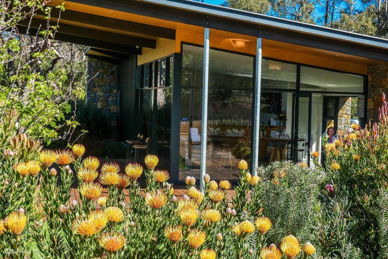 Degustazione di vini della tenuta Passel