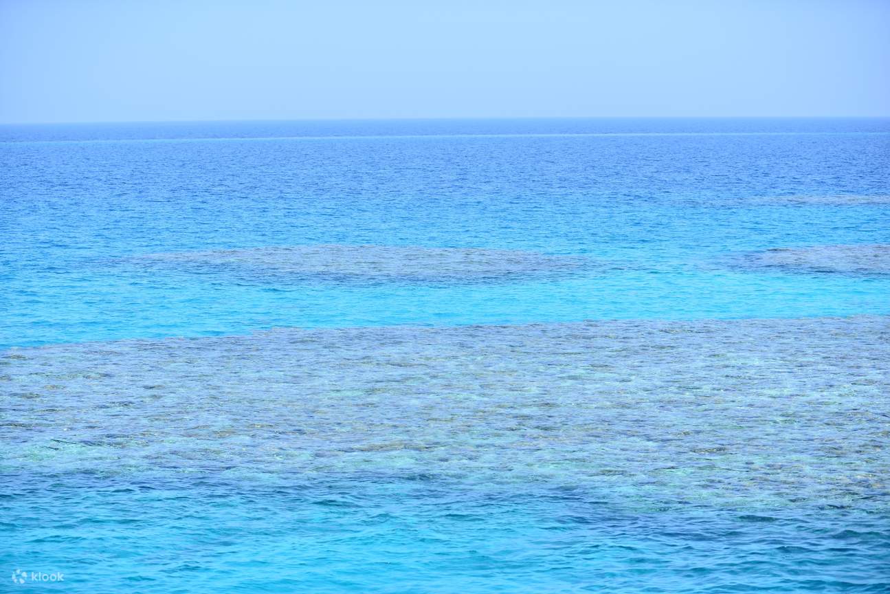 ทริปดำน้ำตื้นที่ Marsa Mubarak พร้อมบริการรับส่งและอาหารกลางวัน – Marsa Alam