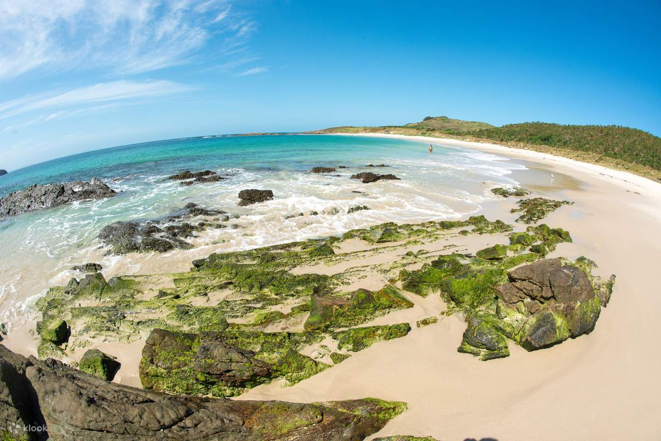 Broughton Island Cruise Ticket in Port Stephens Klook Estados Unidos
