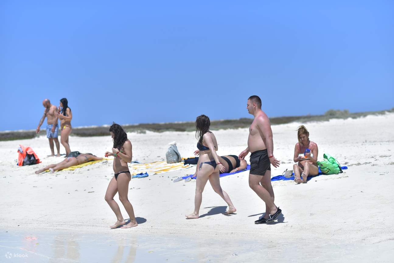 Excursión de esnórquel y almuerzo en Marsa Mubarak con traslado – Marsa Alam