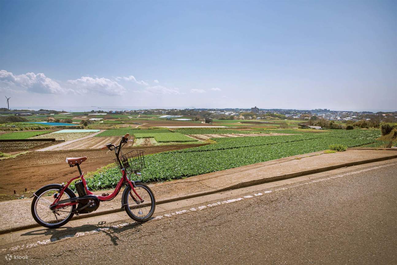 บัตรทานปลามากุโระมิซากิหนึ่งวัน