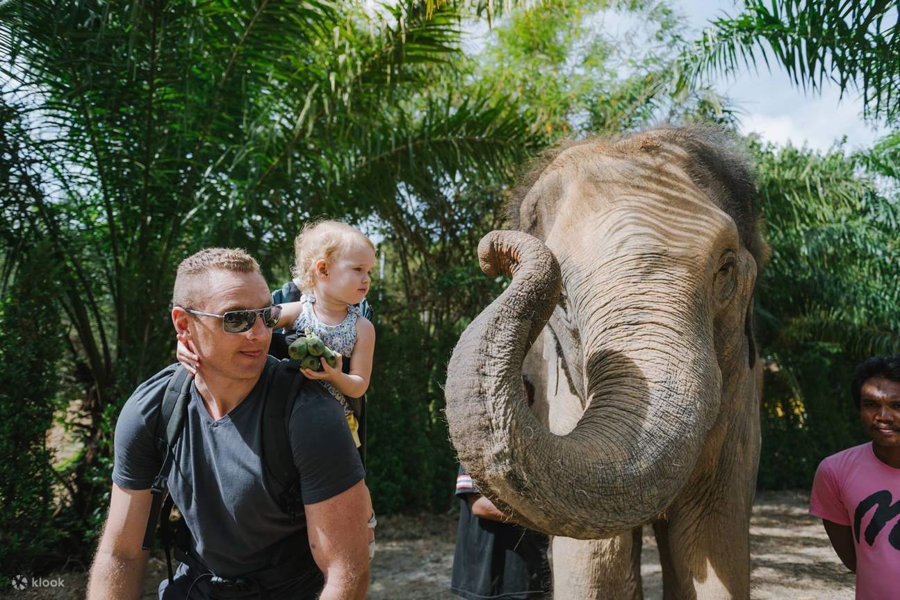 背著婴儿的爸爸与大象合影