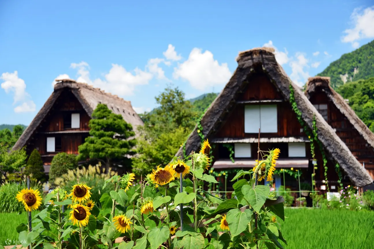 Shirakawa Go Takayama And Kamikochi Day Tour From Nagoya Japan Klook客路 Shirakawa Go Takayama And Kamikochi Day Tour From Nagoya Japan Klook客路