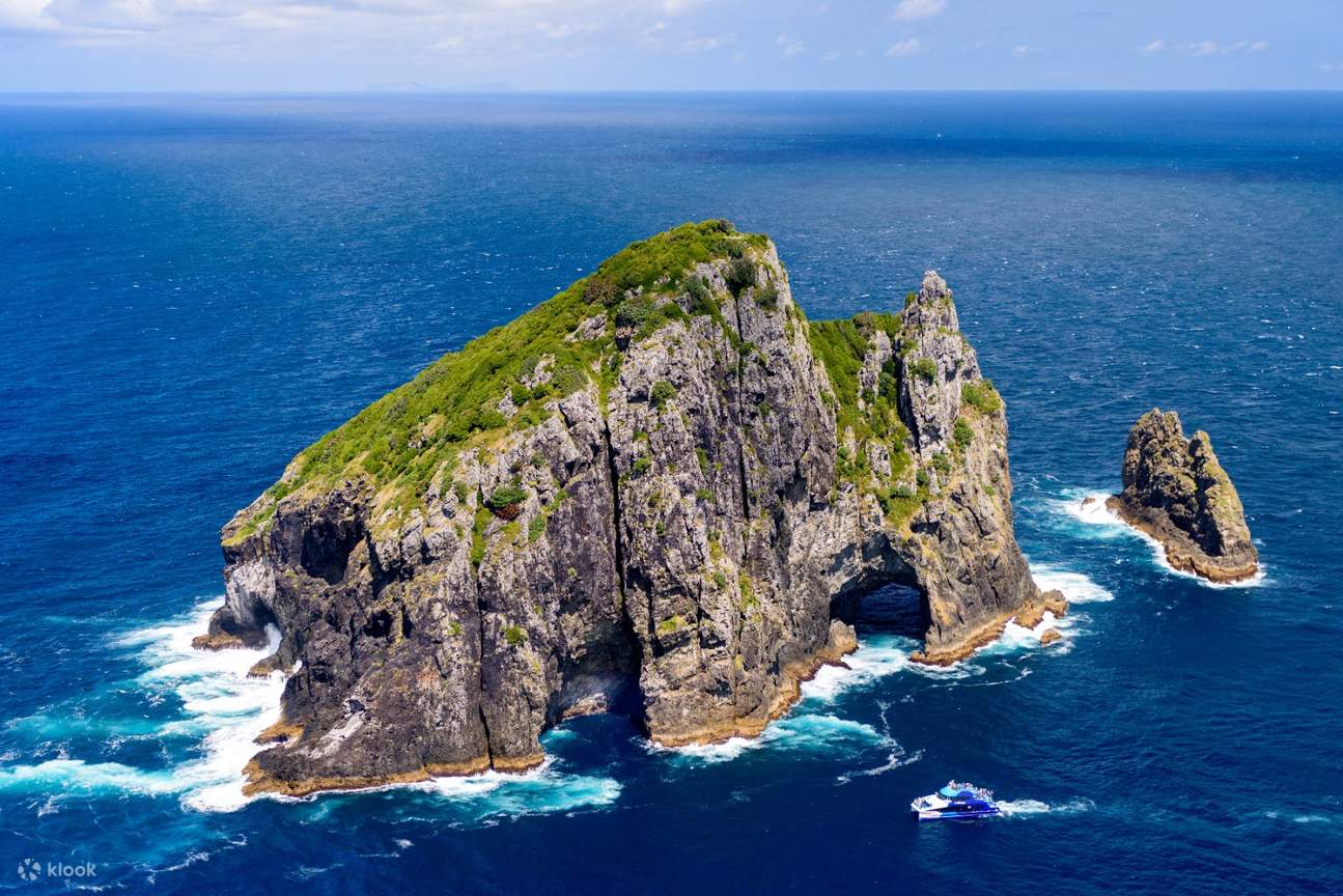 Croisière aux dauphins