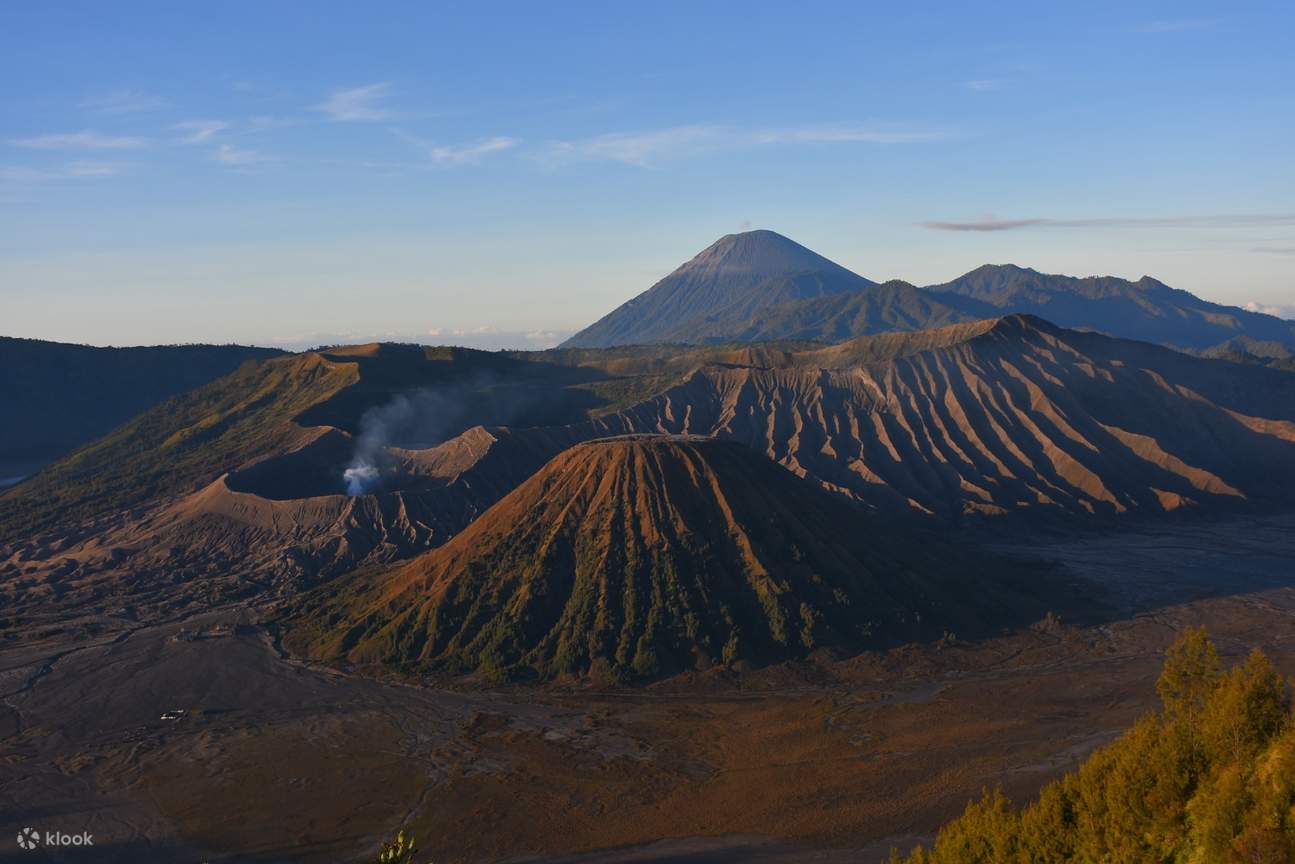 Ijen Crater Baluran National Park And Mount Bromo Tour From Bali