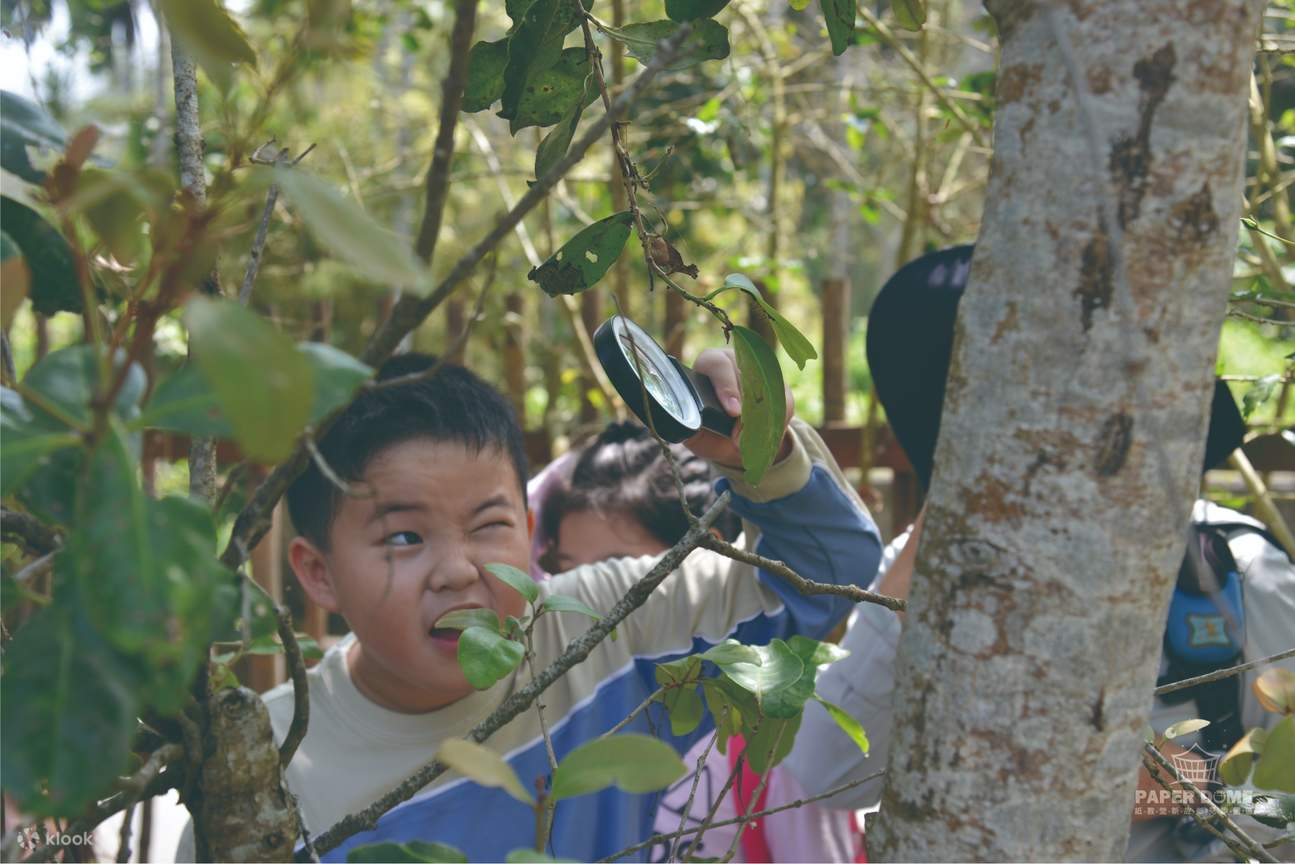Presentación del Parque de Estudio de la Nueva Patria de la Iglesia de Papel: dentro del parque de estudio de la Iglesia de Papel, se plantan ampliamente plantas nutritivas para mariposas y plantas melíferas. Los escolares que realizan educación ambiental
