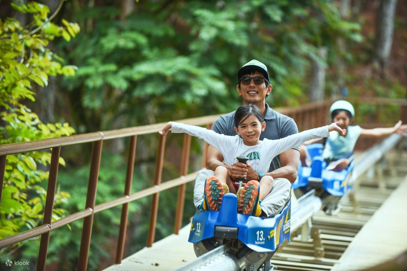 全家畅玩飞天翼龙