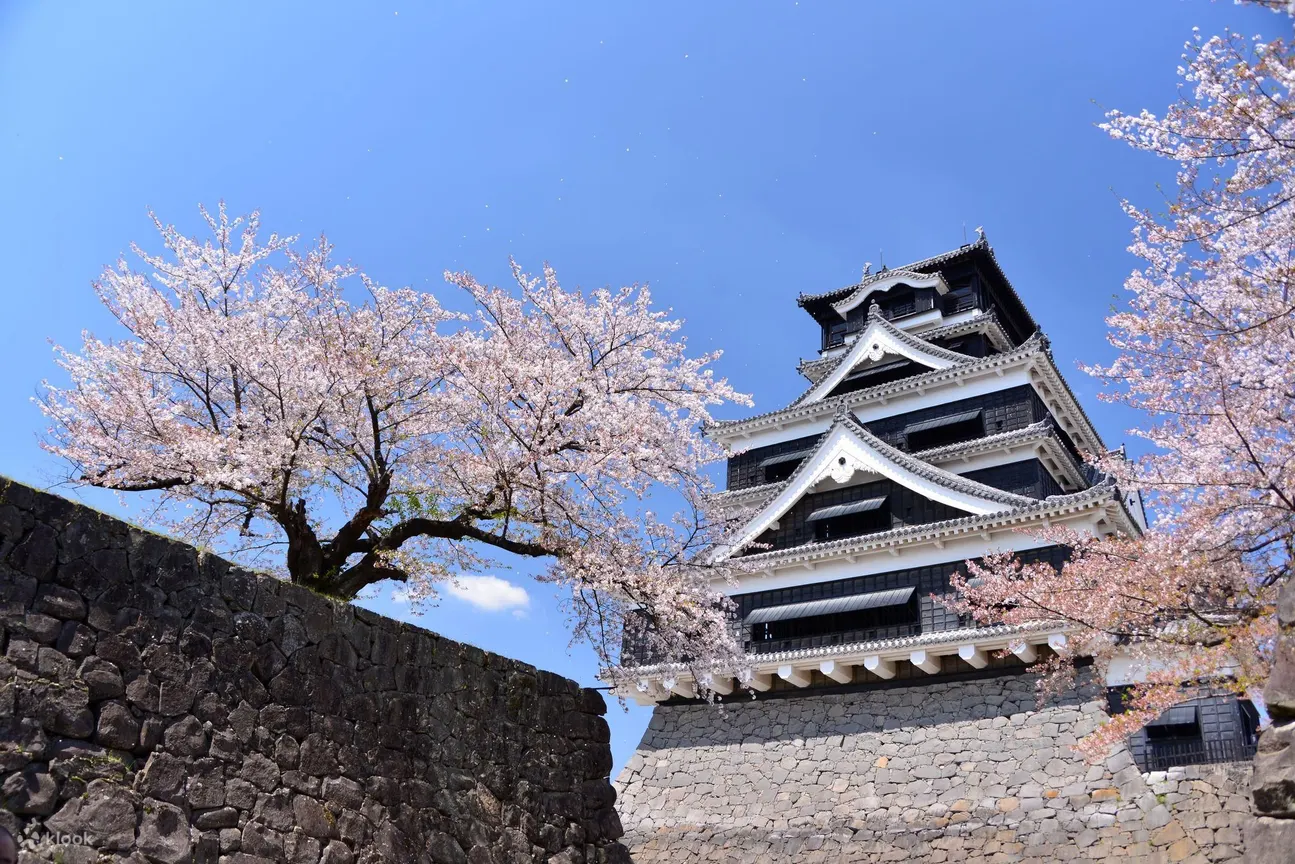 熊本城门票
